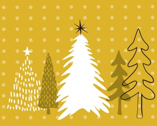 Christmas tree with a star in a forest